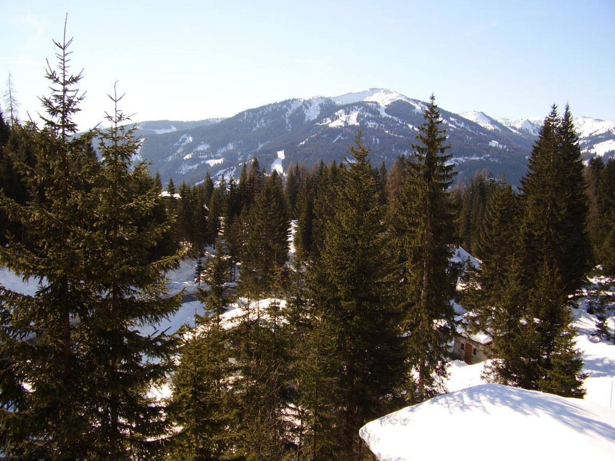 Appartementhaus Hochkoenig 1- Birgkar Mühlbach am Hochkönig Kültér fotó